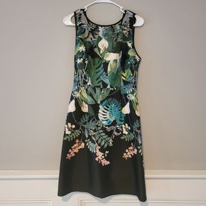 Adrianna Papell Tropical dress size 6